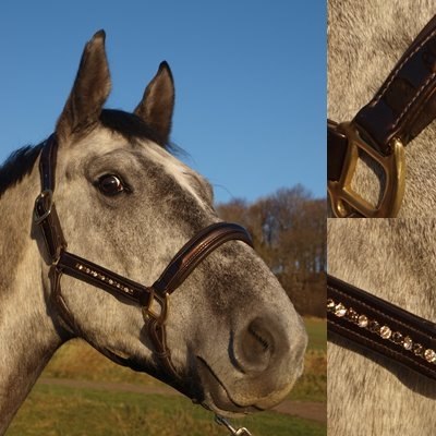 MGS Horsewear
