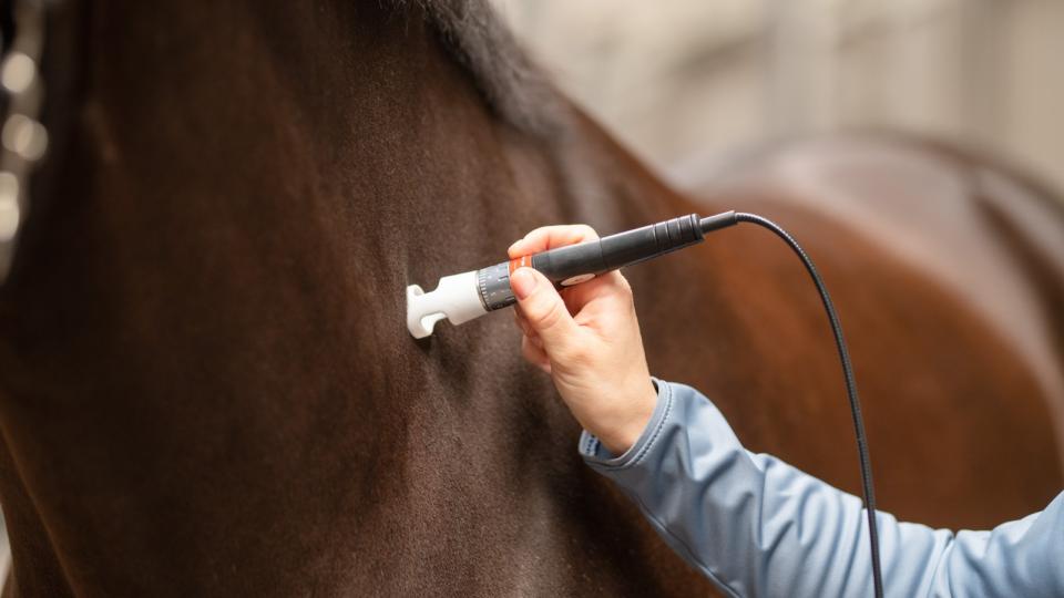 Kom og oplev vores effektive Terapi Laser, K-LASER Performance 30