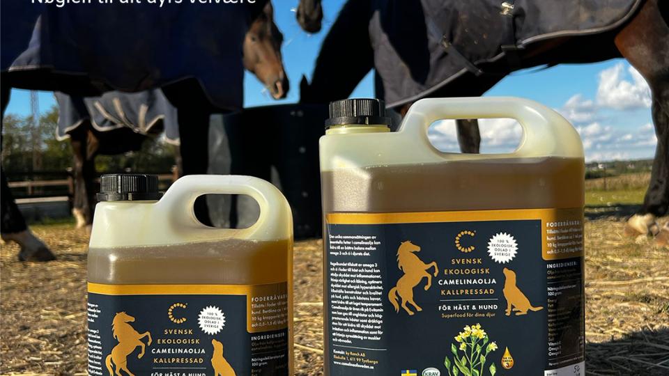 Økologisk Camelinaolie til heste og hunde