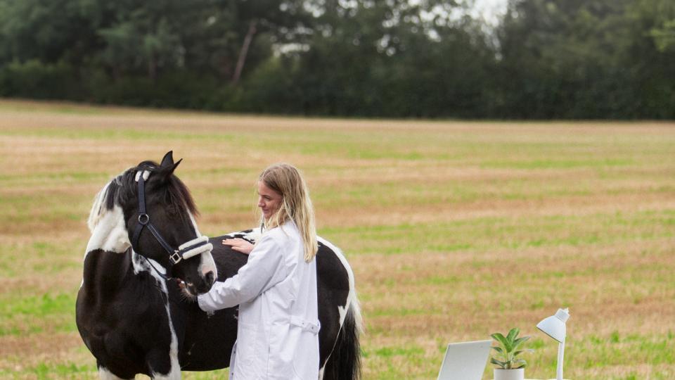 Åbent Hus på AU Viborg
