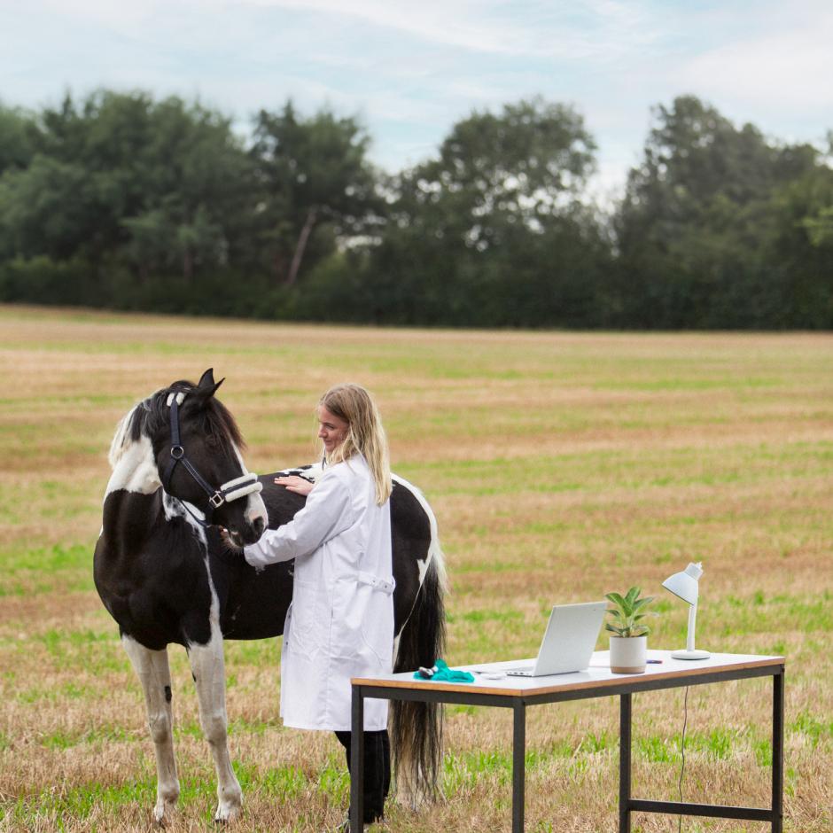 Veterinærmedicin