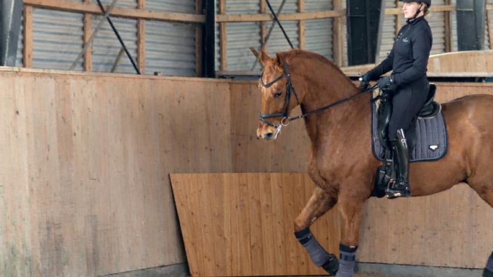 Ny Merkur fra Podek skal gøre arbejdet lettere i ridehaller