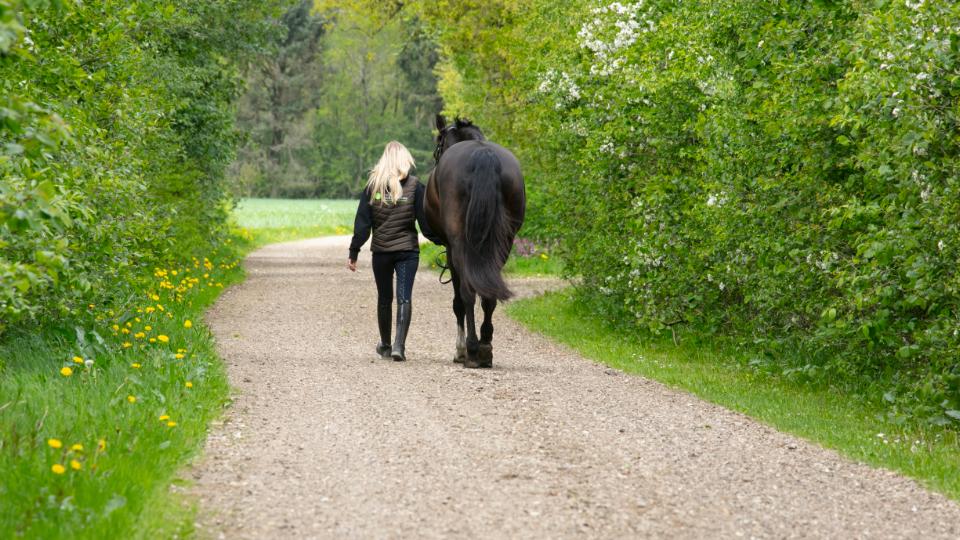 Tag din hest med på uddannelse: Grindsted Landbrugsskole kombinerer uddannelse og passion!