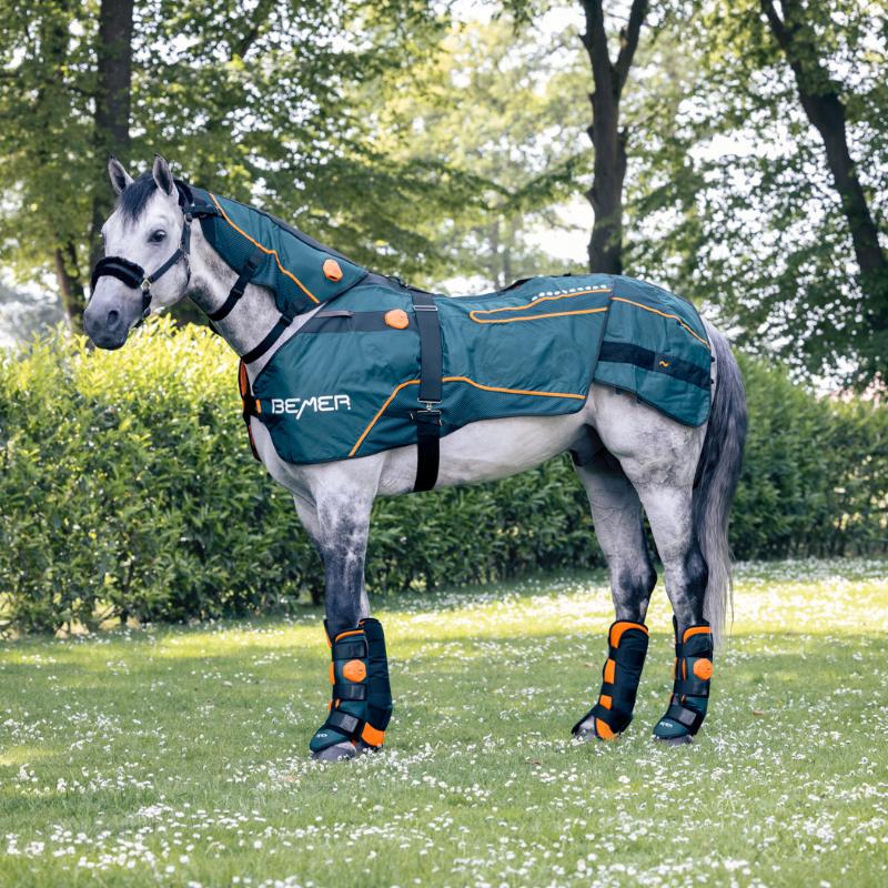 BEMER Horse-Set / BEMER Human Premium-Set Evo