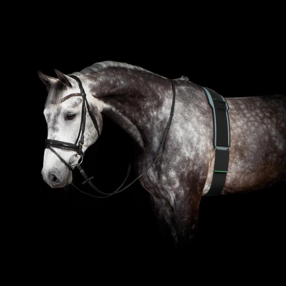 Equipod