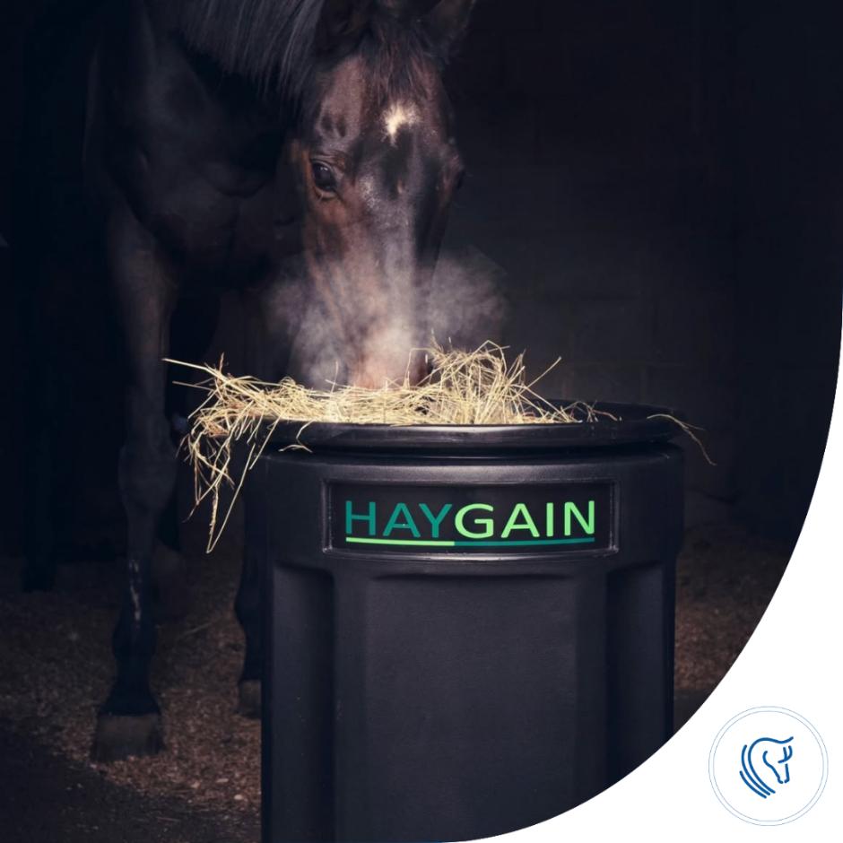 Haygain