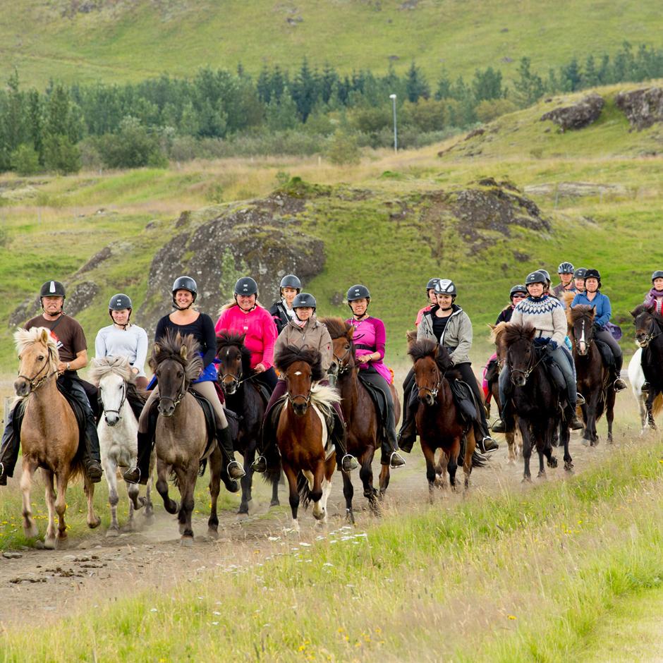 Ridetur 8A-E – Naturens Skatte Island
