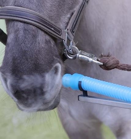 saltvandsindånding (OxygenConcept)